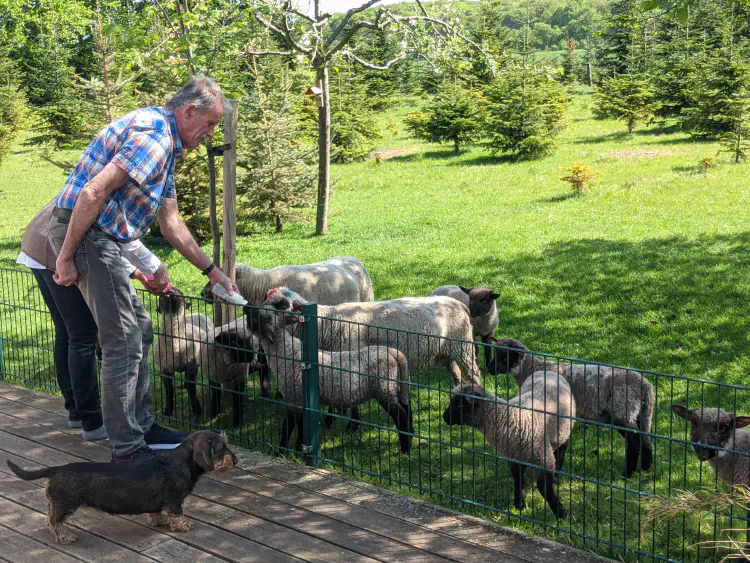 Blaue Tonne und seine Freunde